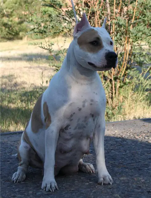 Jean Yuks Piper Lorenz