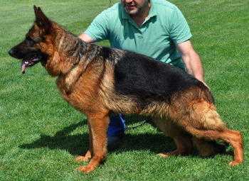 SG1 Eyka von Der Kocaeli