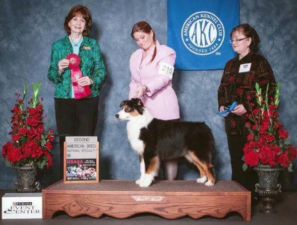 Dreamstreet's Dirty Little Secret