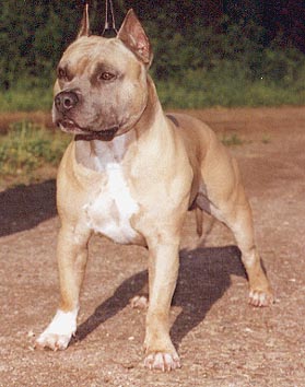 CH RUS Rivas Ross Mairon