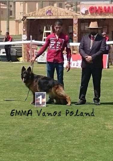 EMMA Vanos Poland