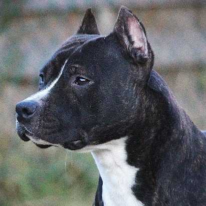 Pageant's JB's Mississippi Burning