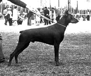 Aik