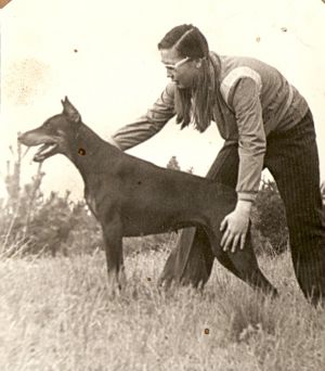 Zherveza