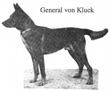 General von Kluck