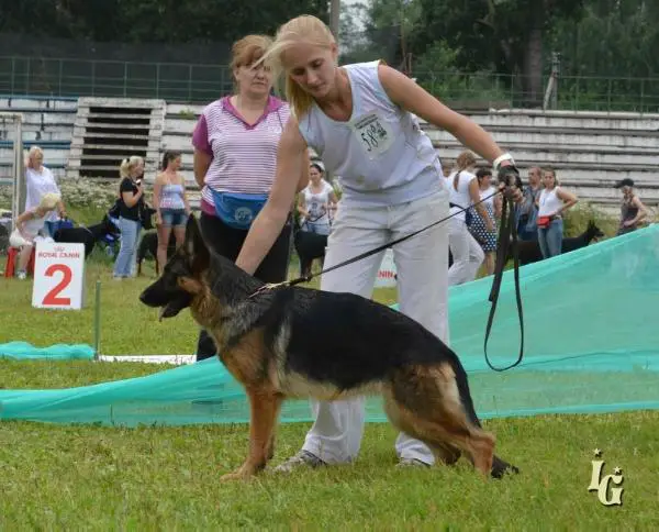 4CC, 2JCAC Santlauris  Charmian
