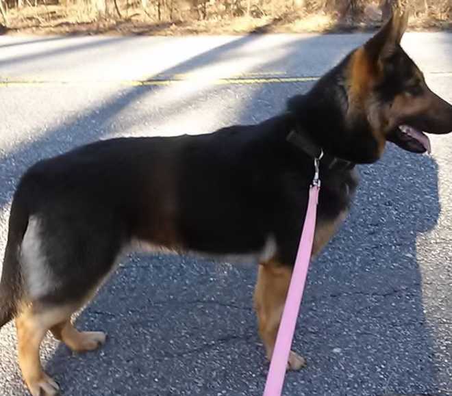 Riot Vom Bartek Haus