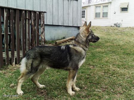 Dakoda At Sidhe Crossing