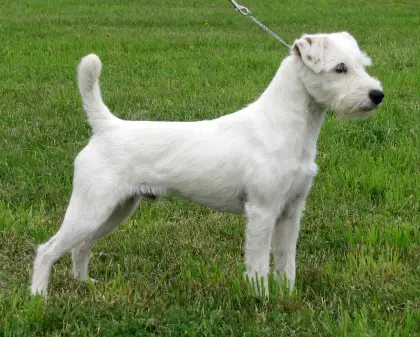 Little Eden Intensity