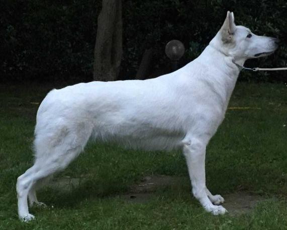 Margot Mine Praderio