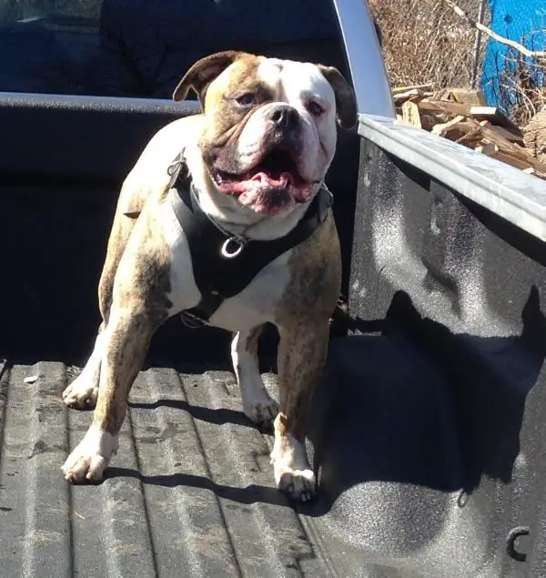 30th State's Ace the Assassin of Lost Bloodline