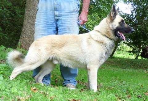 Heartlands You'Ll Think Of Me