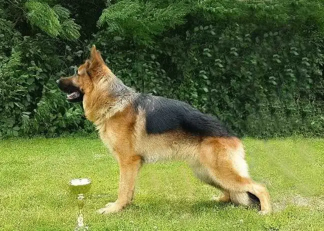 V3,SG2,SG10 JHKL CZ 2016 Casimo Ro-Kop Bohemia