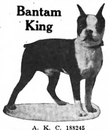 Bantam King 188245