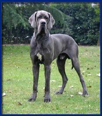 V Uguggci-B Della Baia Azzurra