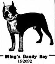 Ming's Dandy Boy 192692