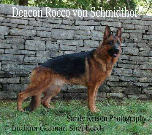 Deacon Rocco von Schmidthof
