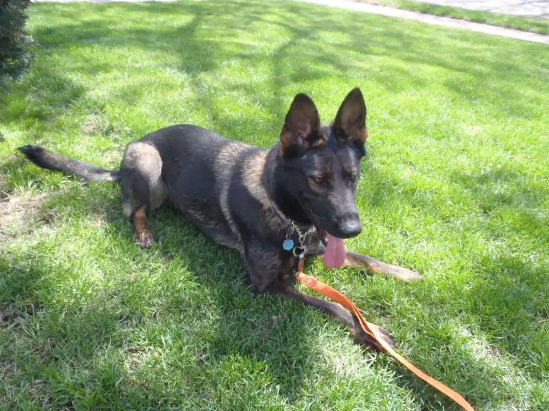 Emmeline Touchstone Haus Honeycutt