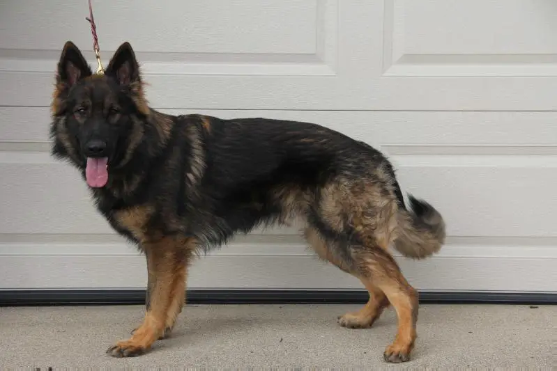 Evzen Von Schone Stadt