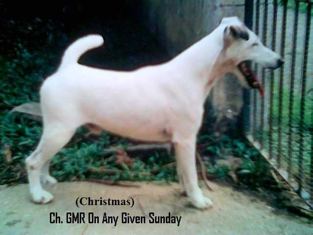 T.T. CH. GMR On Any Given Sunday