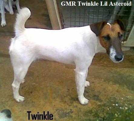 GMR Twinkle Lil Asteroid