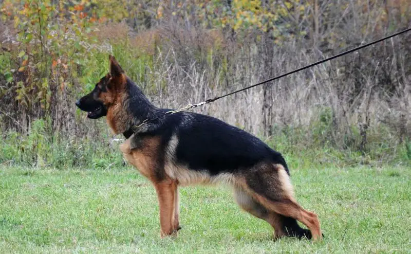 Pyra von der Barenschlucht