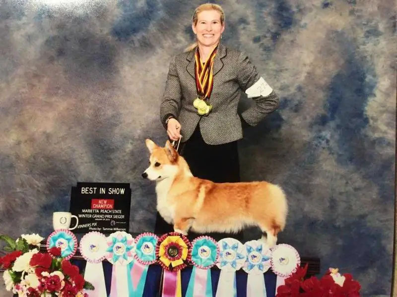 AKC CH, Intl BIS/CH Cook Arena Smarty Pants of Dixieland