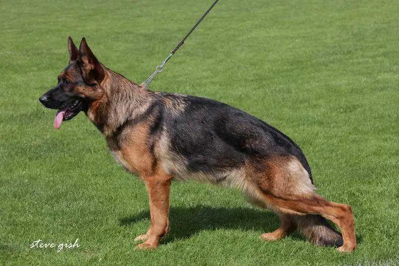 VA4 Istamboul du domaine du parc