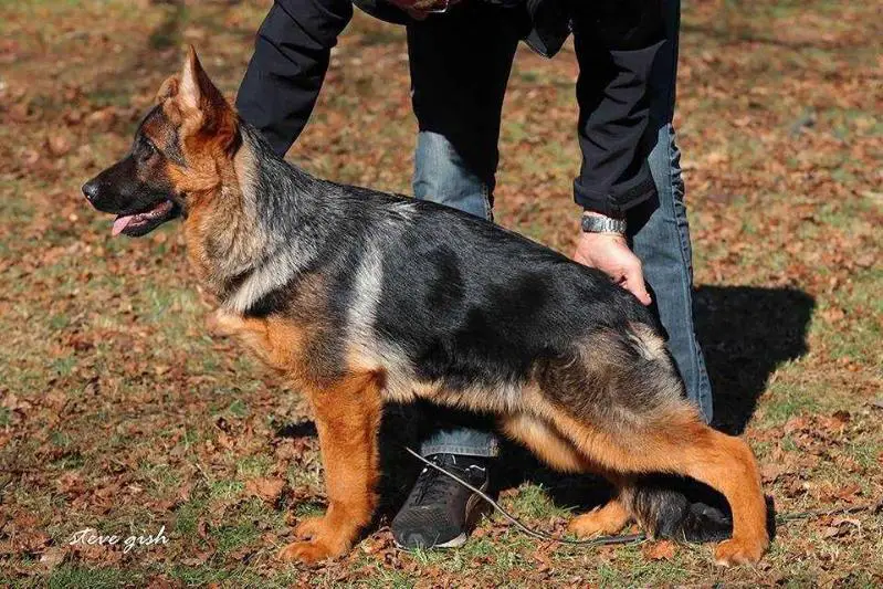 Yackie aus Wattenscheid