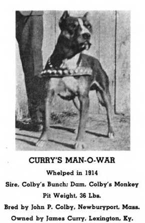 Curry's Man O War
