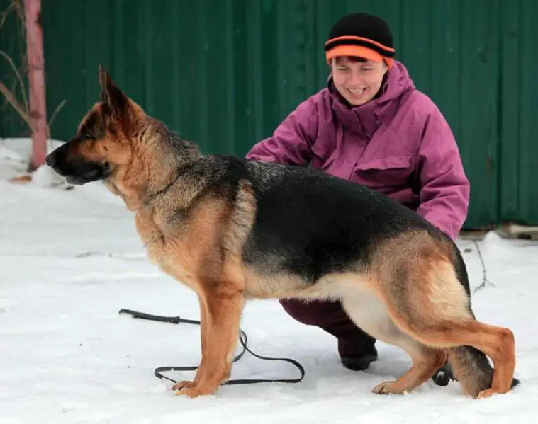 V Haribda von Roten Blitz