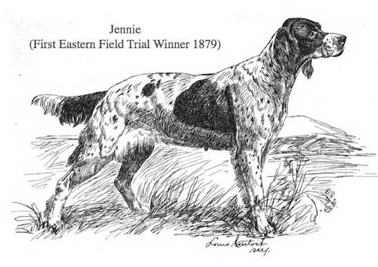 Jennie (First Eastern Field Trial Winner 1879)