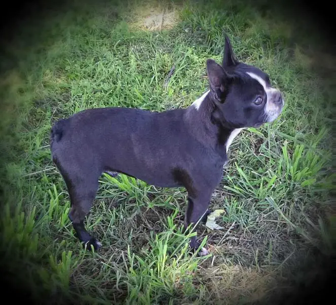 Just Because Mad Max