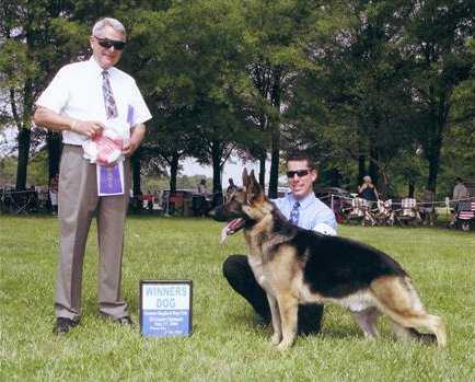 Ch Donka's Talisman v Stardust