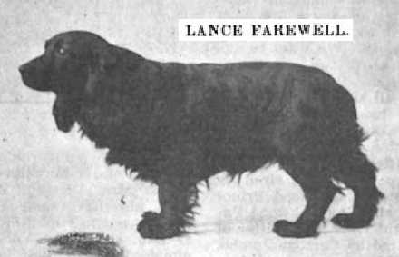 Lance Farewell (079965)