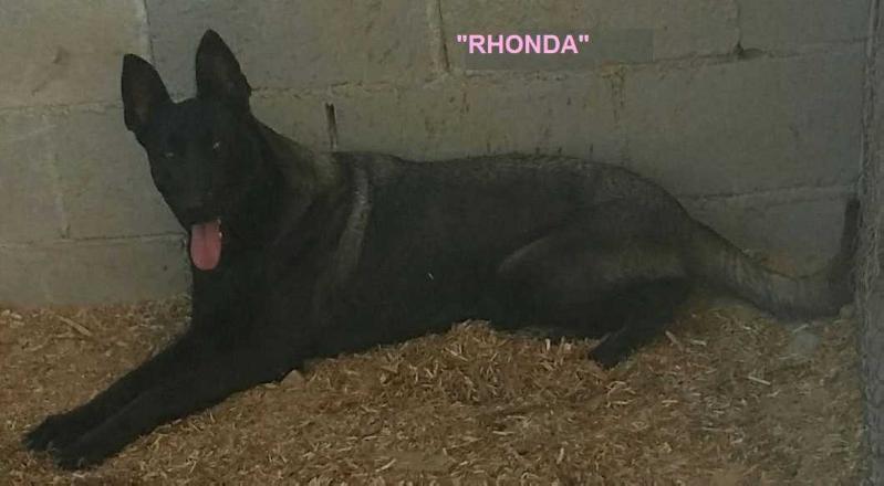 RHONDA (ORNELAS)