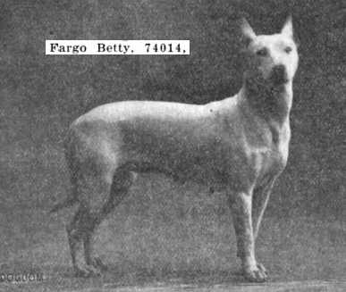 Fargo Betty (074014)