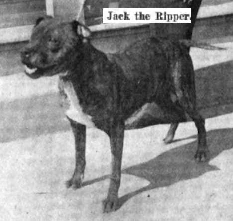 Jack The Ripper II (107570)