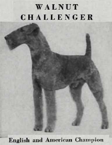 CH (Eng/Am) Walnut Challenger [Leonard Brumby's]