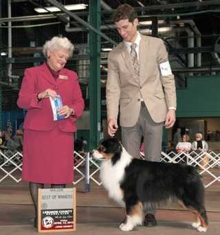 AKC Ch. Montrose Fast and Furious