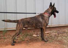 BRN 23325 AACHEN ARKO