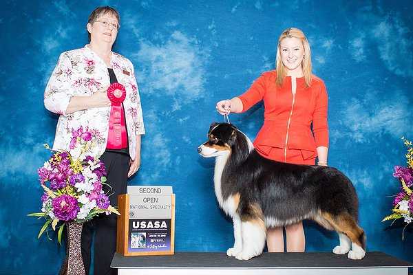 McMatt's Shades of Bayouland