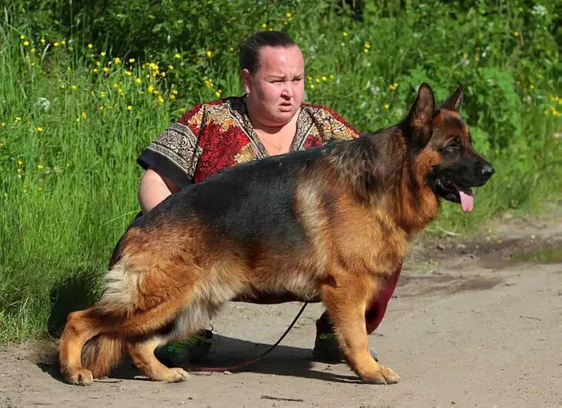 V De Orse Mak Flai Yozhik