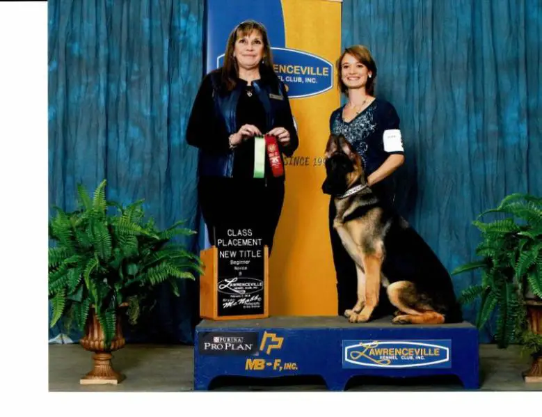 Appleridges Starburst To Fame