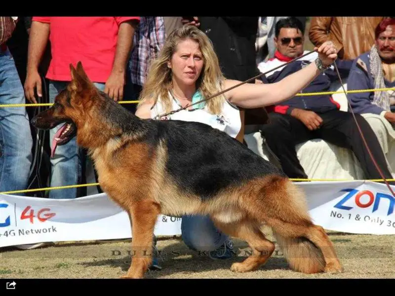 SG Webber von Cohinor