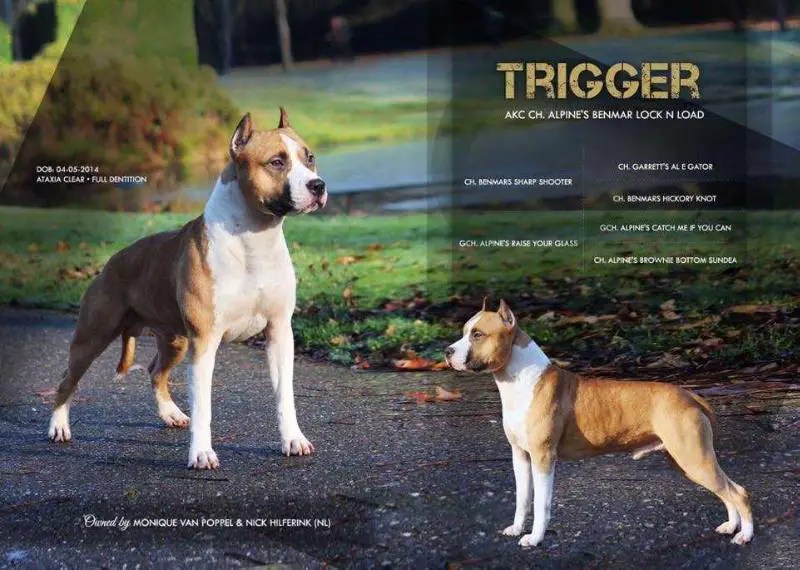 Alpine's Benmar Lock N Load at LBK