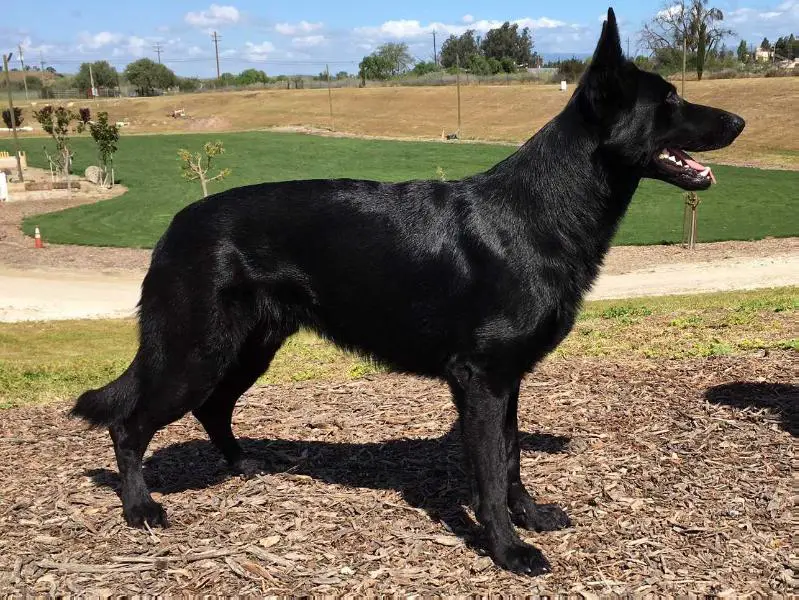 C Mako Vom Haus Bergblick