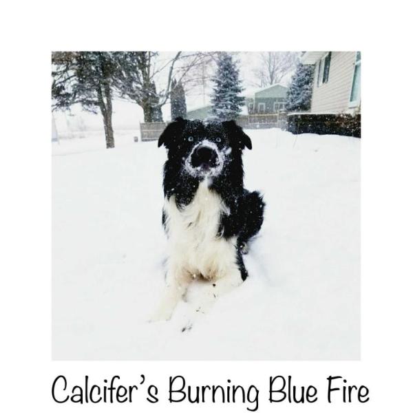 Calcifer's Burning Blue Fire