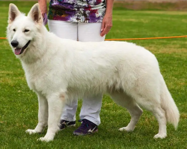 Pandorras Mountain-Crystal