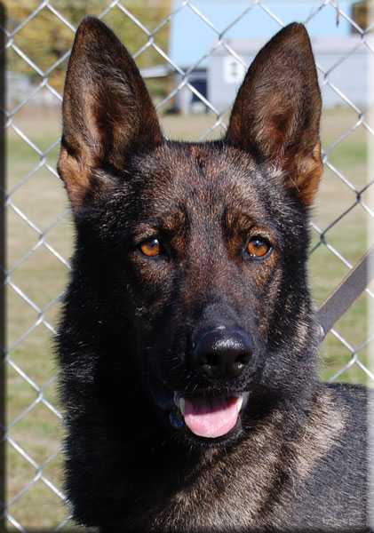 Eva Von Jagermeister Haus